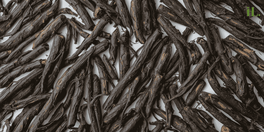 Black Cohosh Root