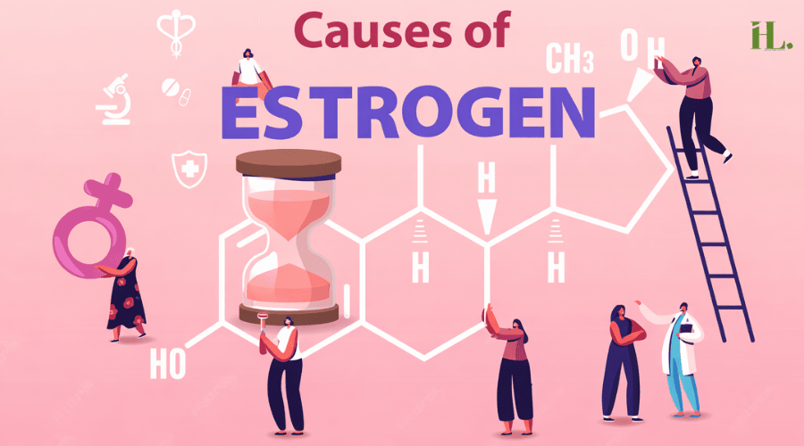 Causes of Estrogen Dominance