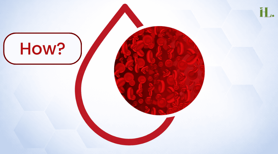 How can I improve my Anemia fast