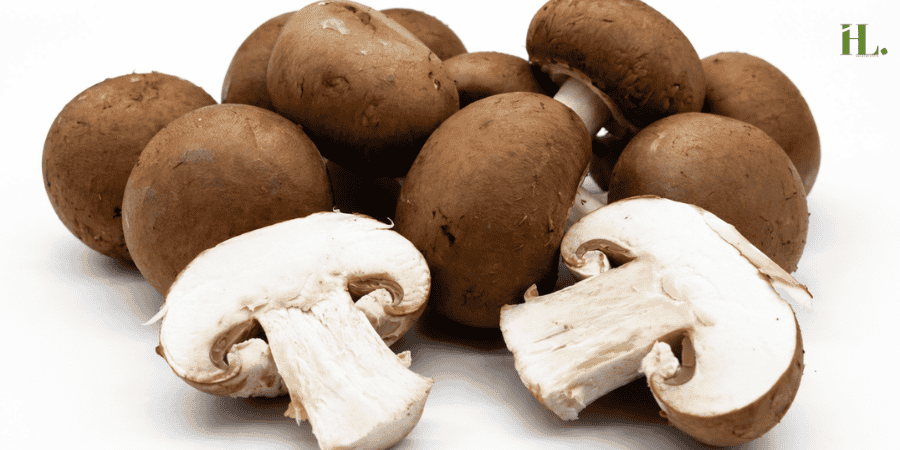 Shiitake Mushrooms