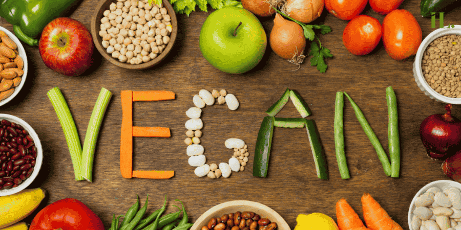 What is the best Vegan Multivitamin